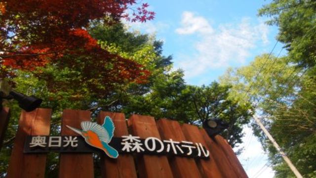 日光湯元温泉　奥日光　森のホテル